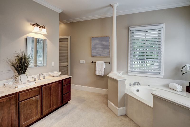 Bathroom Vanity Area